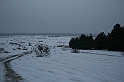 Czerwonym Szlakiem 213